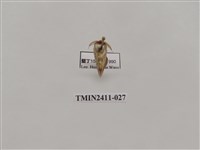 藏品(灰雙線刺蛾)的圖片